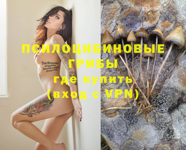 таблы Алексин