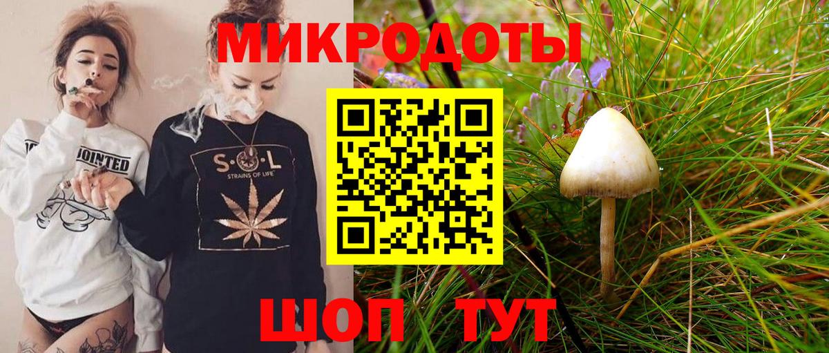 Галлюциногенные грибы Cubensis Симферополь